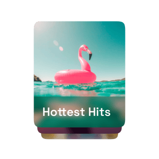 flamingo floating to represent hottest hits summer music station
