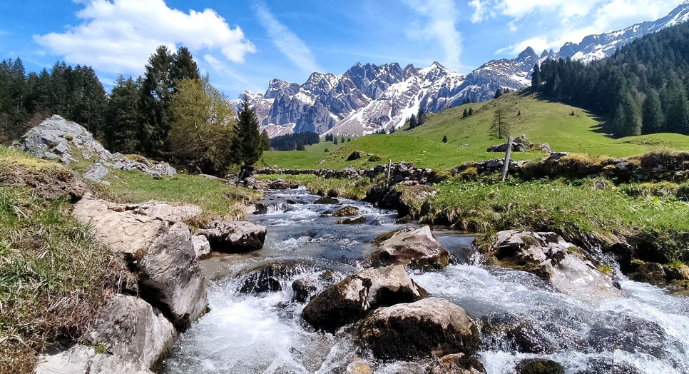 Capturing Nature Sounds for Akina